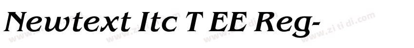 Newtext Itc T EE Reg字体转换